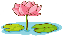 Plants floating on water