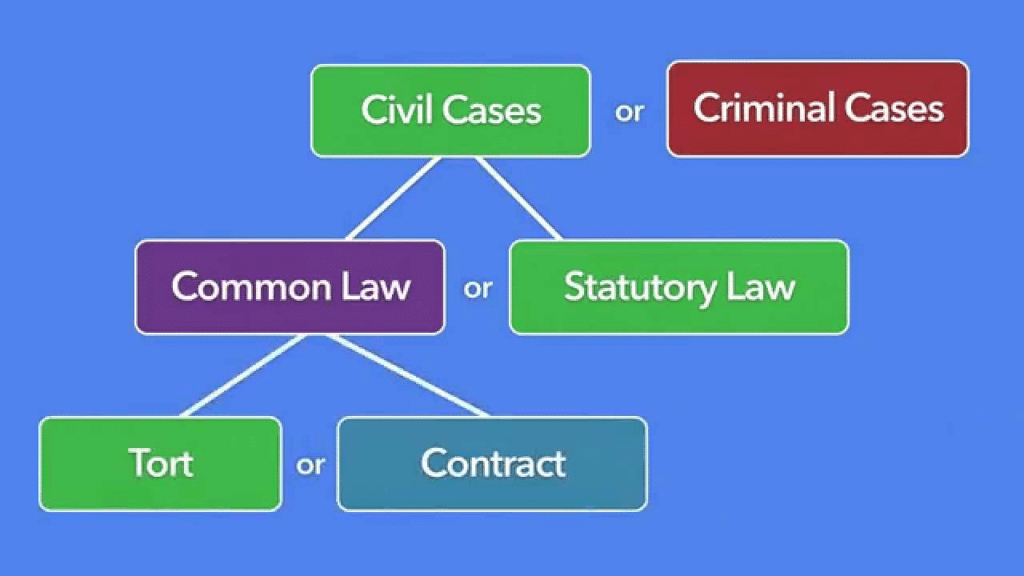 Tort Law Cases | Legal Reasoning for CLAT