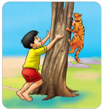 It is Fun Class 2 Worksheet English Mridang