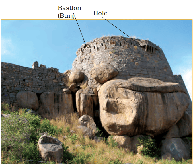 NCERT Solutions for Class 5 EVS Chapter 10 - Walls Tell Stories