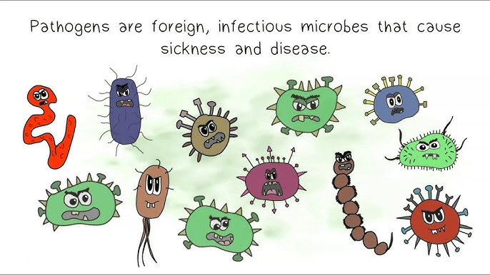 Class 8 Science - Question Answers Microorganisms Friend or Foe
