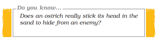 NCERT Solutions for Class 7 English - Three Questions