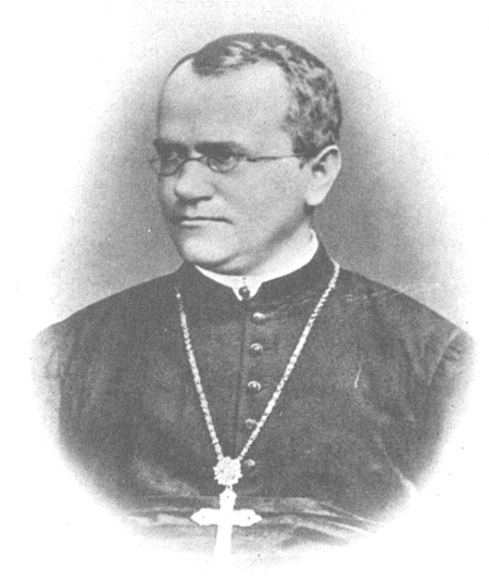 Johann Gregor Mendel: Father of genetics.