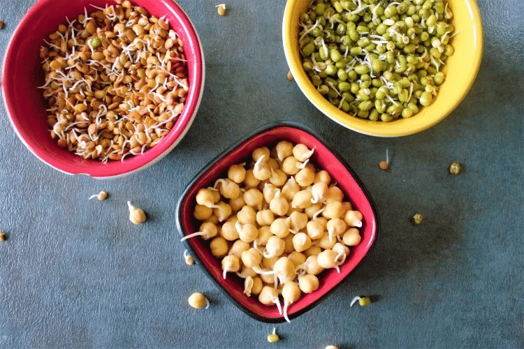 Different Sprouts
