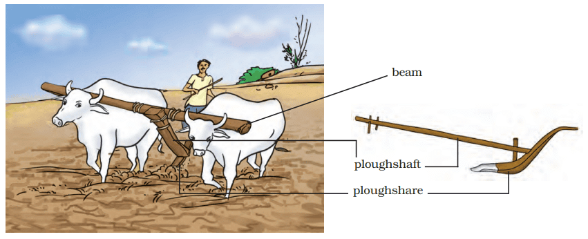 Crop Production and Management Class 8 Notes Science Chapter 1