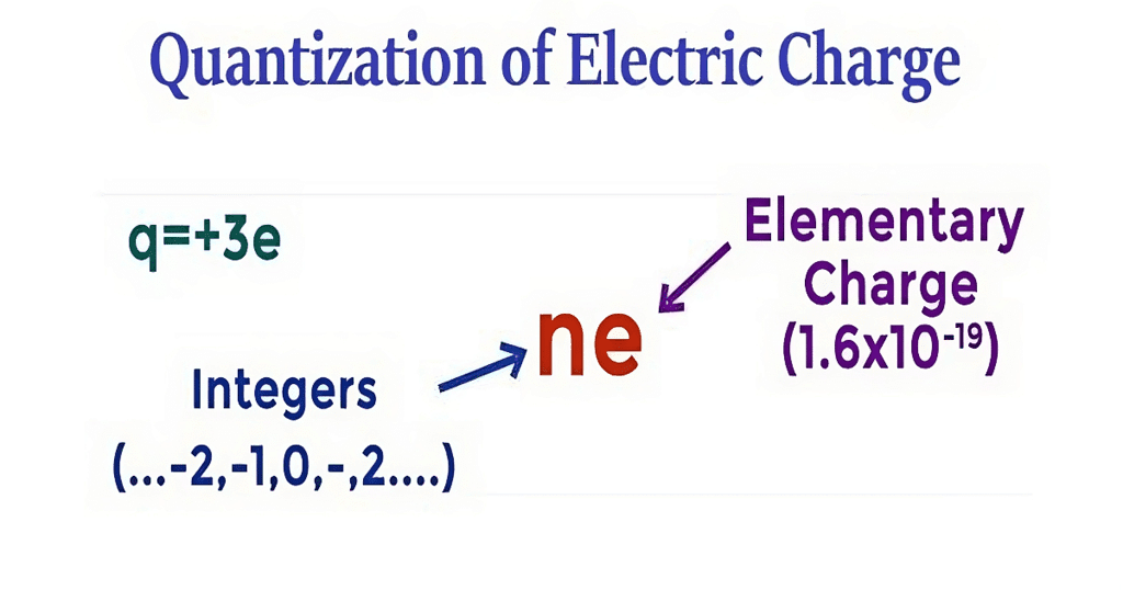 NCERT Solutions Class 12 Physics Chapter 1 - Electric Charges & Fields