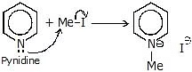Nucleophilic Substitution, Elimination Reactions & Polyhalogen Compounds | Chemistry Class 12 - NEET