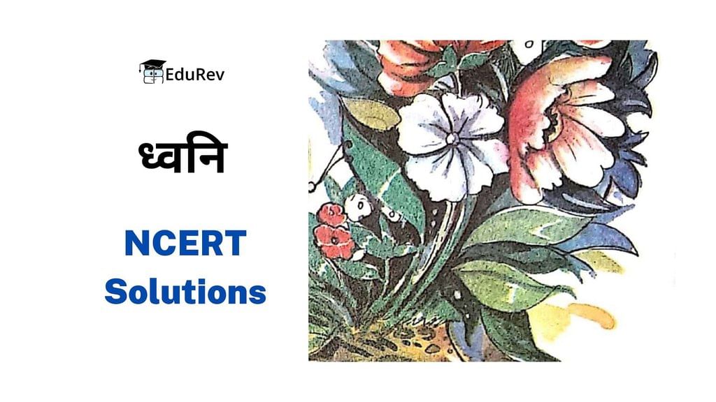 ध्वनि NCERT Solutions | NCERT Textbooks & Solutions for Class 8