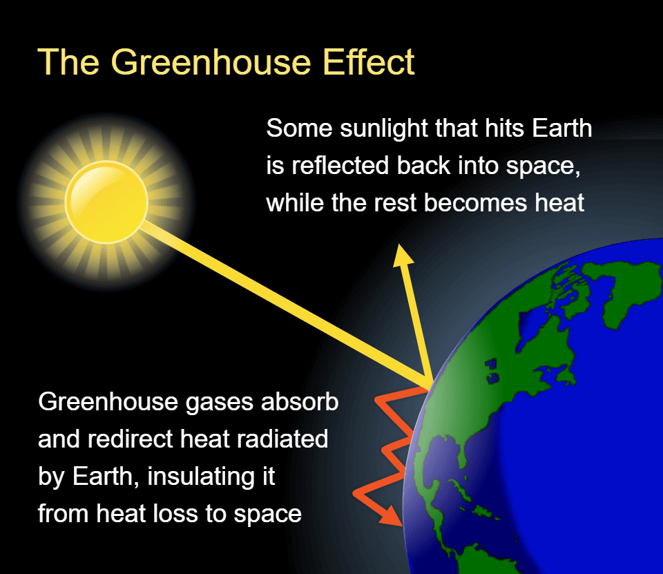 Greenhouse Effect