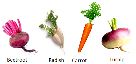 Roots as Vegetables