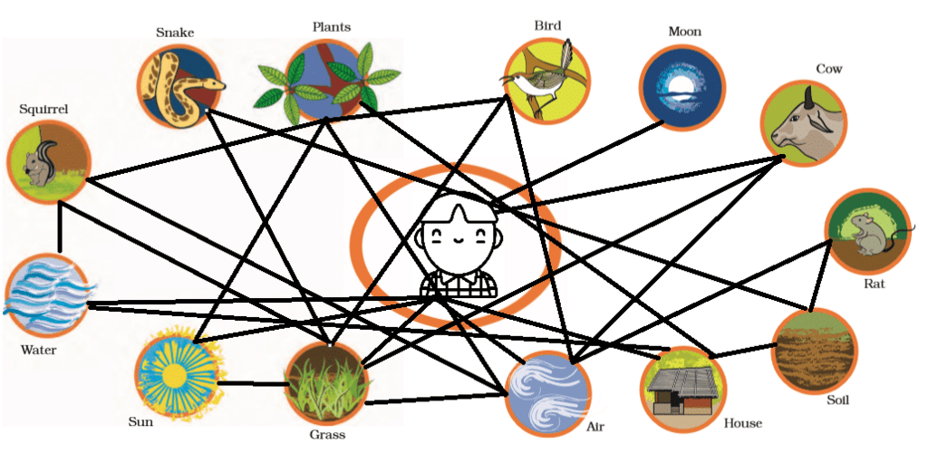 Class 4 EVS Worksheet Solutions Chapter 3 Nature Trail