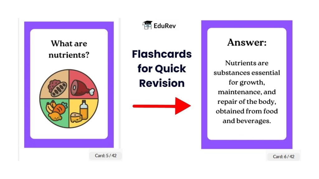 What do you get under EduRev Infinity Package for Class 4? | Parent`s Guide to EduRev Infinity for Class 4