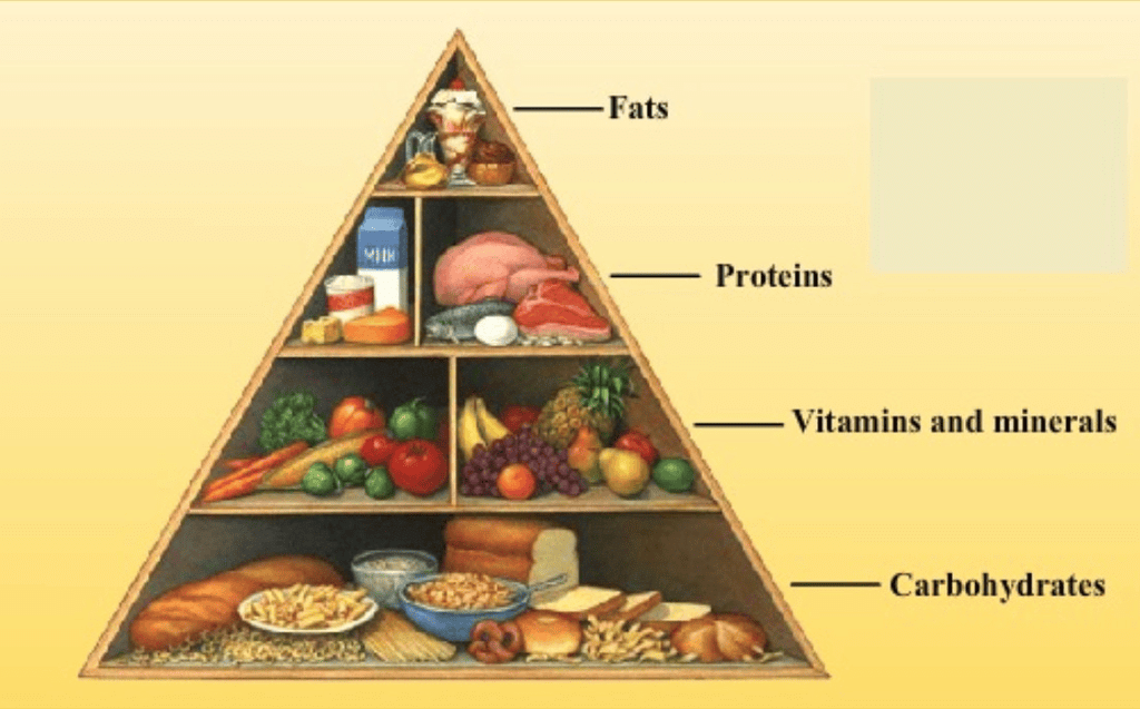 NCERT Solutions for Class 6 Science - Components of Food