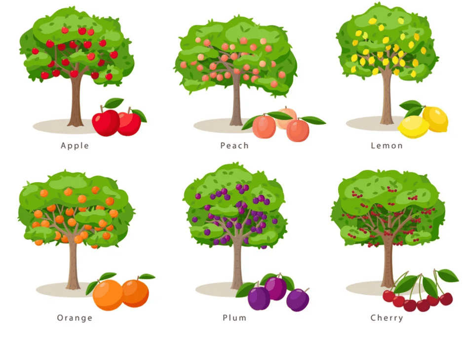 Multiple Choice Questions (MCQs)