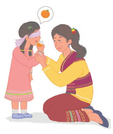 Detailed Explanation