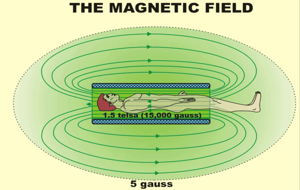 Class 10 Science Chapter 12 Practice Question Answers - Magnetic Effects of Current