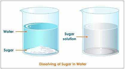 Equilibrium in Physical Processes | Chemistry Class 11 - NEET