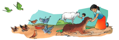 Growing up with Nature Class 4 Notes EVS Chapter 4 Free PDF