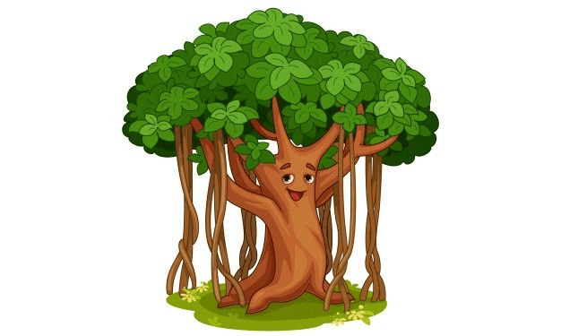 The stem of a big tree is called a Trunk.