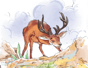 Class 4 English Short Answer Questions Chapter 5 The Old Stag