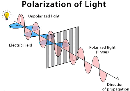 Electromagnetic Radiation: Wave & Particle Nature | Chemistry Class 11 - NEET