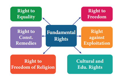 NCERT Solutions for Class 11 Political Science - Rights in the Indian Constitution