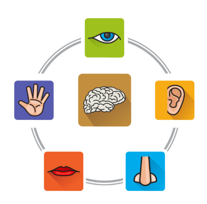 Our Body - CBSE Worksheets- 1