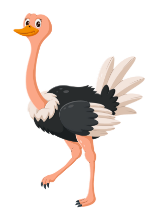 Birds are Animals too | EVS for Class 1