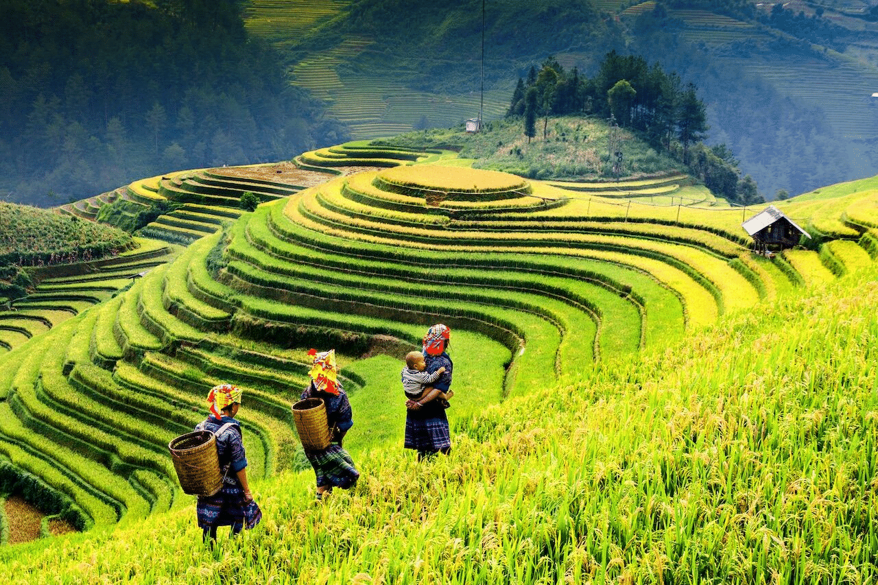 Class 8 Geography Chapter 2 Notes - Land, Soil, Water, Natural Vegetation and Wildlife Resources Resources