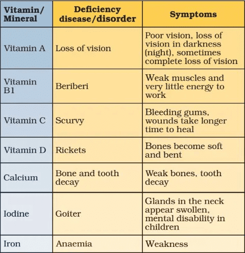 NCERT Solutions for Class 6 Science - Components of Food