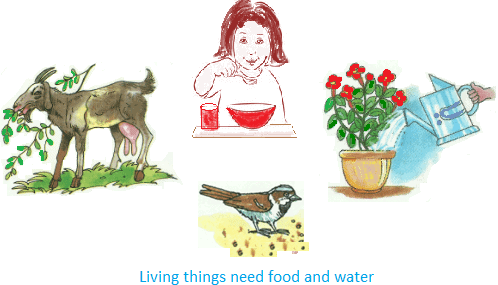 Living and Non-Living Things Class 3 Notes Science