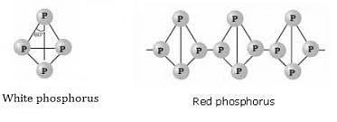Group 15 Elements: Nitrogen Family | Chemistry Class 12 - NEET