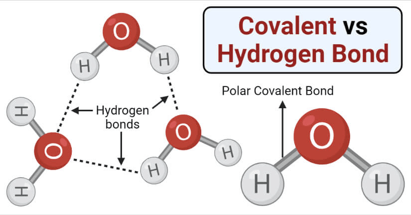 Introduction to Chemical Bonding | Famous Books for UPSC Exam (Summary & Tests)