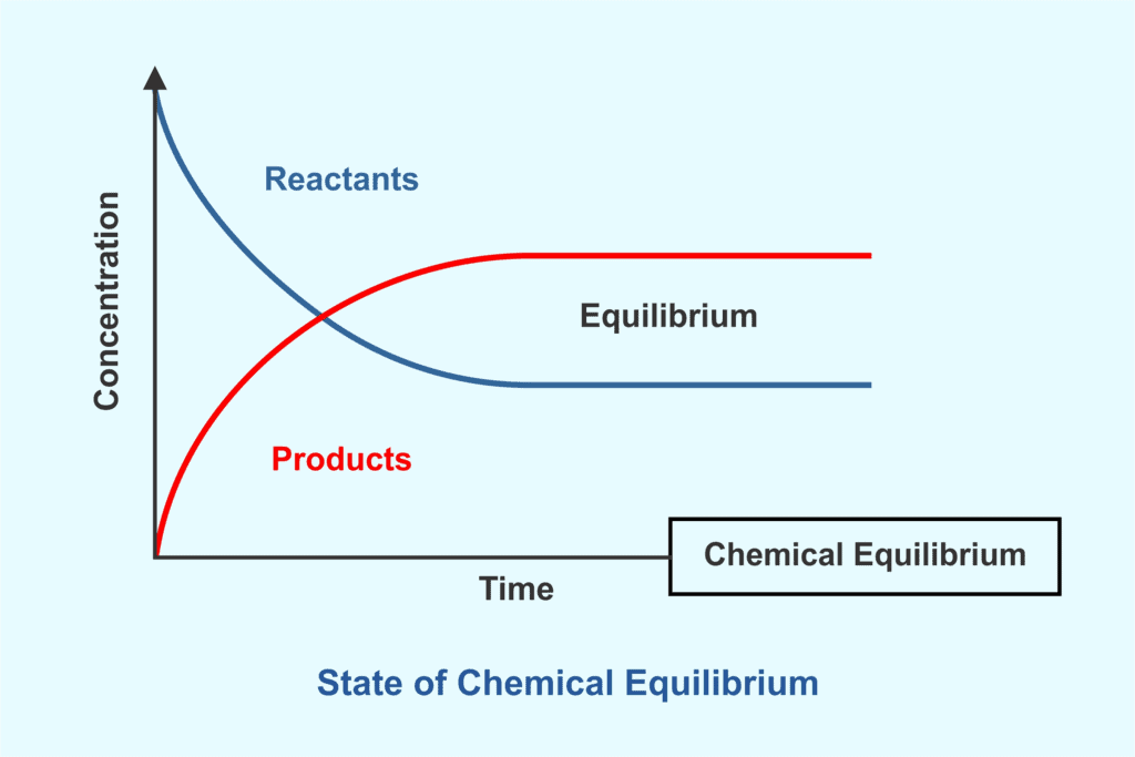 Equilibrium in Physical Processes | Chemistry Class 11 - NEET