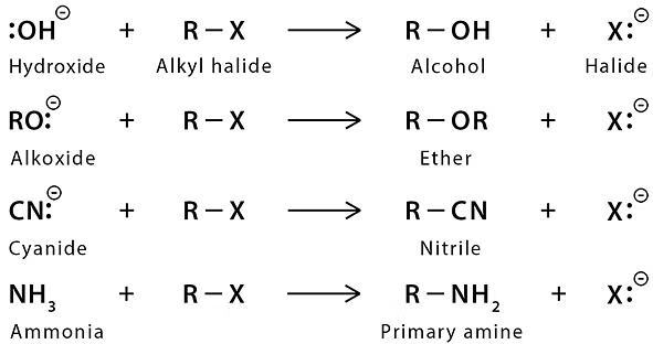 Nucleophilic Substitution, Elimination Reactions & Polyhalogen Compounds | Chemistry Class 12 - NEET