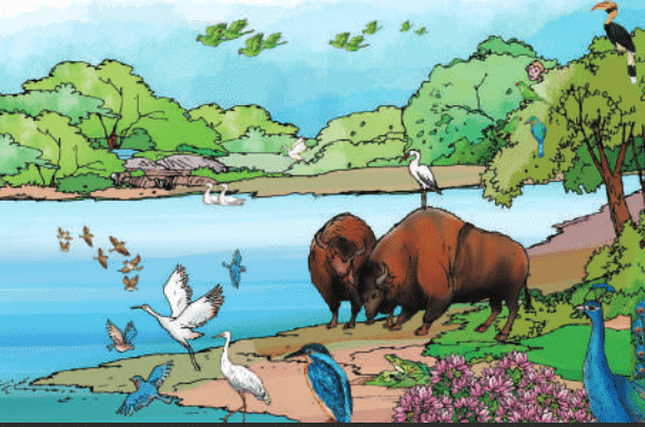 Nature Trail Class 4 Notes EVS Chapter 3 Free PDF