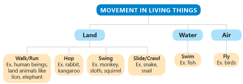 Living and Non-Living Things Class 3 Notes Science