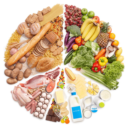 Food - Where does it Come from? Class 6 Notes Science