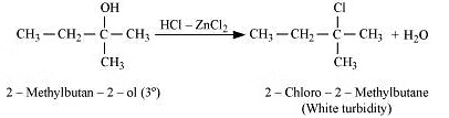NCERT Solutions Class 12 Chemistry Chapter 7 - Alcohols, Phenols & Ethers