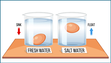 Floating Egg Experiment