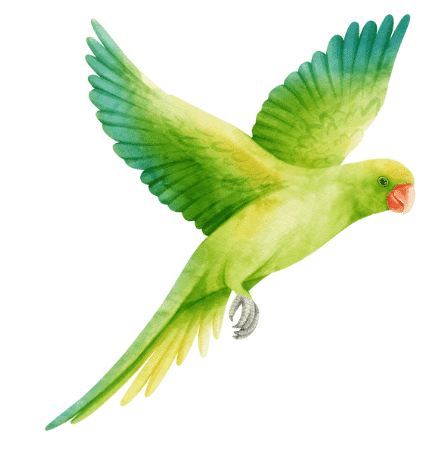 Worksheet Solutions: Animals are Birds too | EVS for Class 1