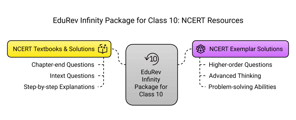 What do you get under EduRev Infinity Package for Class 10? | Social Studies (SST) Class 10