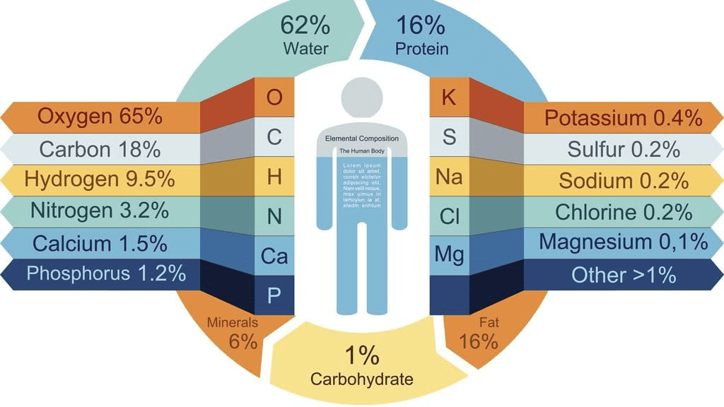 Introduction to Bioinorganic: Essentials & Trace Elements of life | Inorganic Chemistry