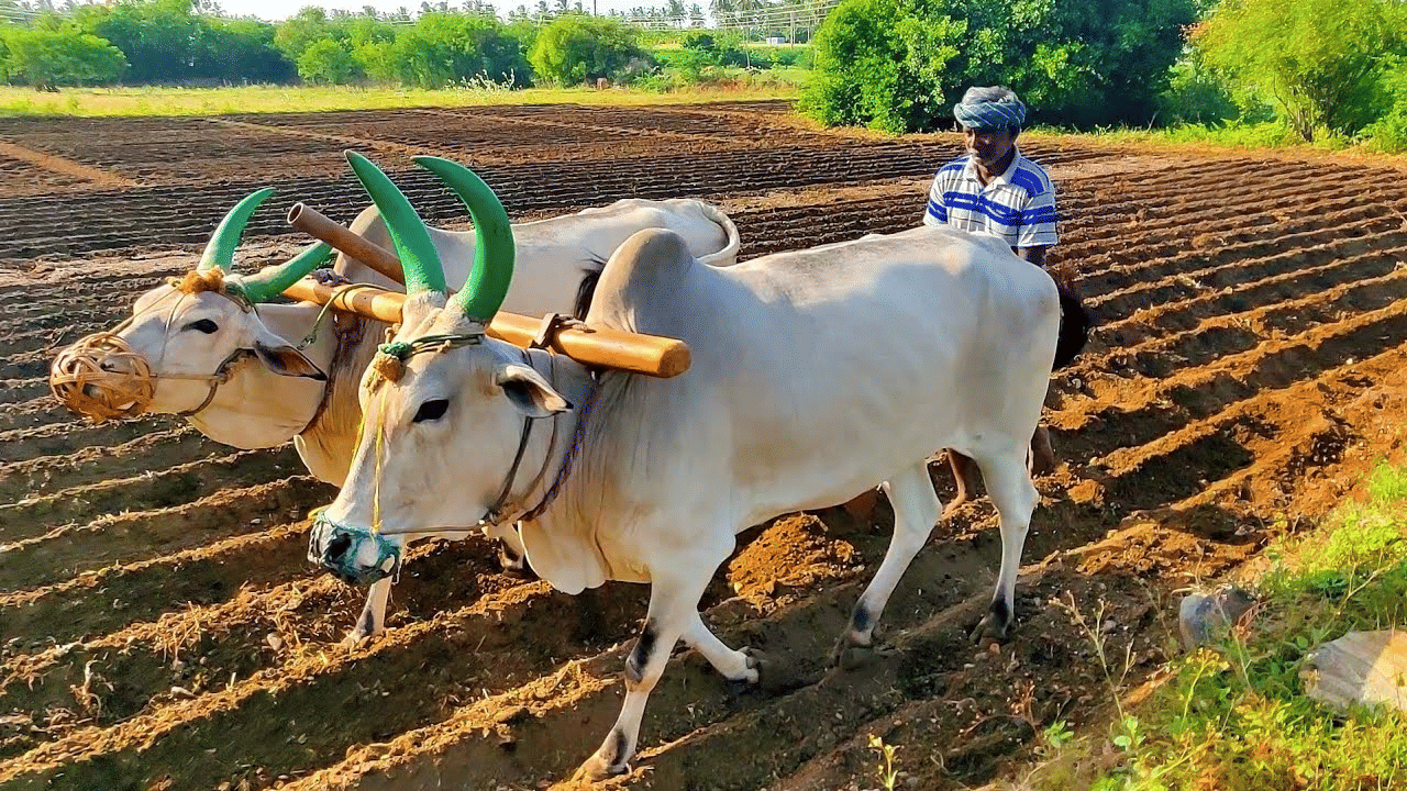 Ploughing