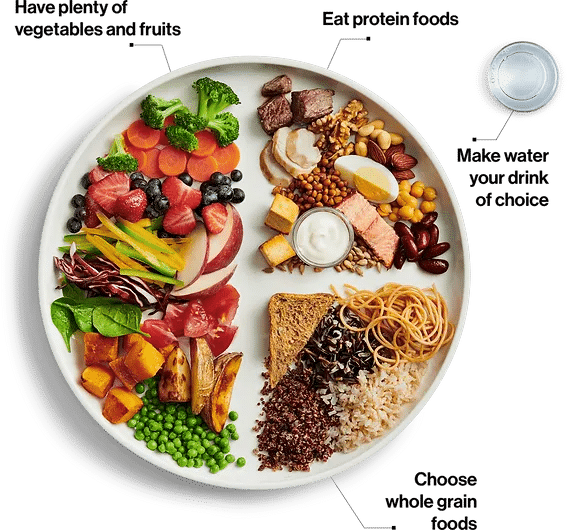 Extra Questions and mcqs on Components of Food Class 6 Science - Components of Food