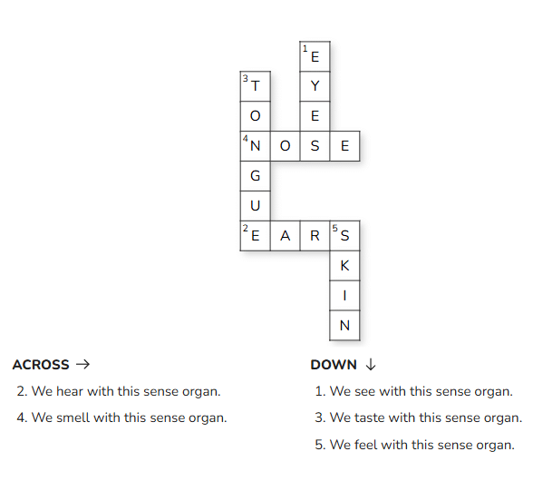 Sense Organs - 1 Class 1 Worksheet EVS