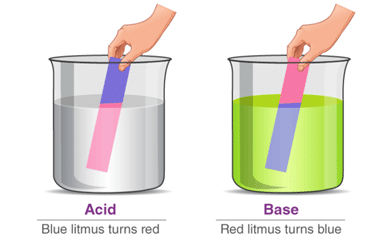 NCERT Solutions for Class 7 Science - Acids, Bases and Salts