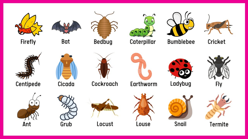 Animals- Food and Shelter Class 1 Notes EVS
