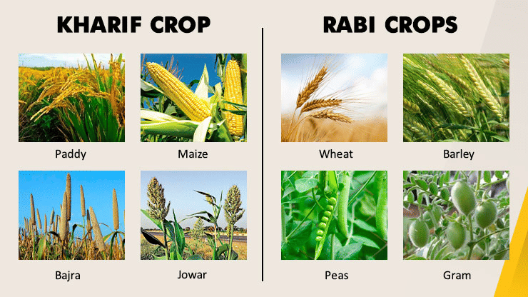 Crop Production and Management Class 8 Notes Science Chapter 1