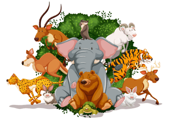 Worksheet: Nature and Our Earth | EVS for Class 1